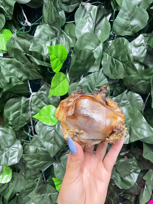 Mutts About You - Tarter Busters