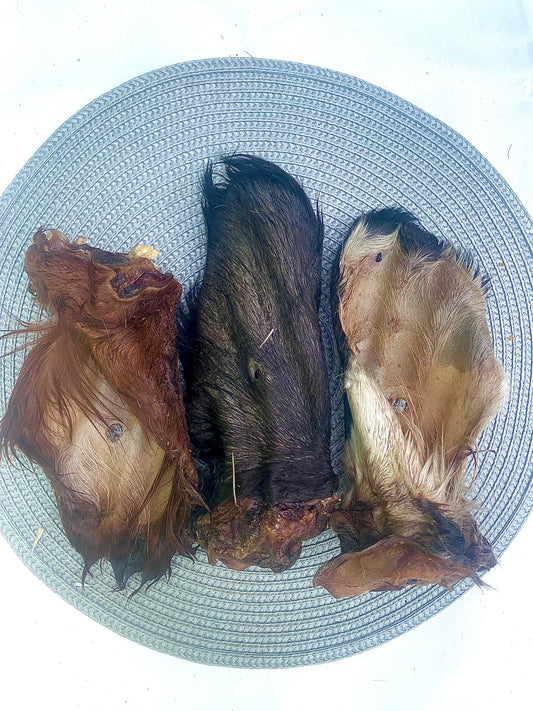 Mutts About You - Cow Ear