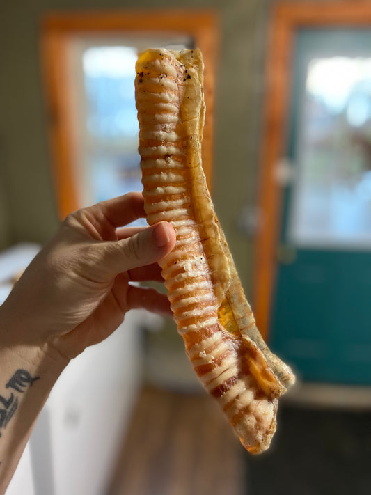 Mutts About You - Beef Trachea